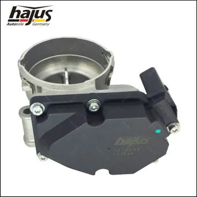 Throttle Body (1311040)
