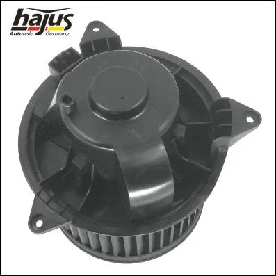 Interior Blower