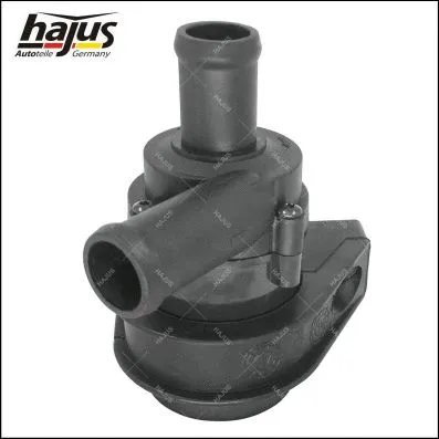 Auxiliary Water Pump (heating water circuit) (9191312)