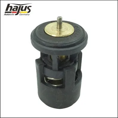 Thermostat, coolant (1211168)