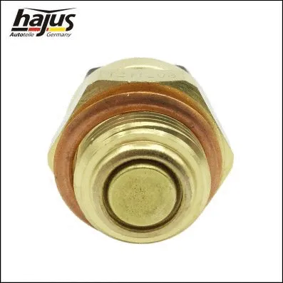 Temperature Switch, radiator fan