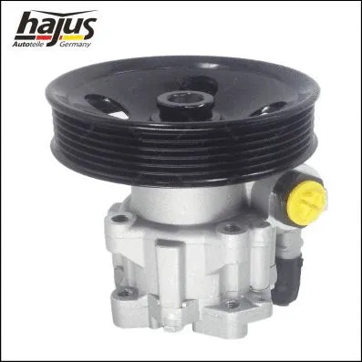 Hydraulic Pump, steering (4221030)