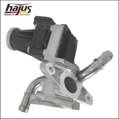 EGR Valve (1311105)