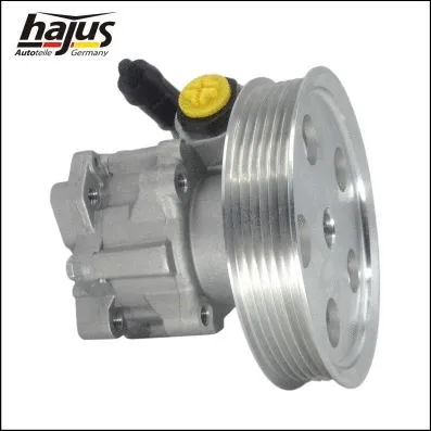 Hydraulic Pump, steering (4221023)