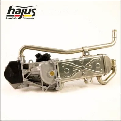 EGR Module