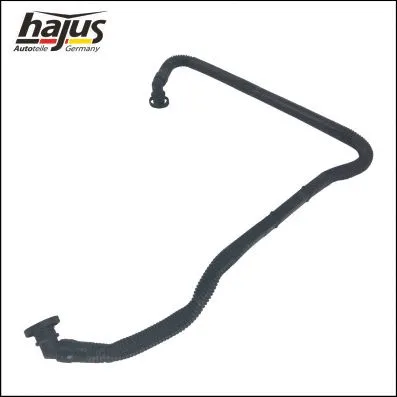 Hose, crankcase ventilation