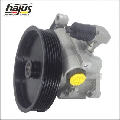 Hydraulic Pump, steering