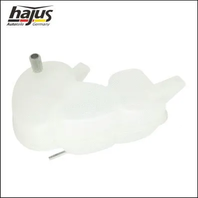 Expansion Tank, coolant
