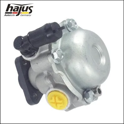 Hydraulic Pump, steering (4221040)