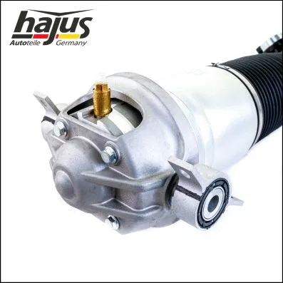 Air Suspension Strut