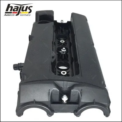 Cylinder Head Cover (1031003)