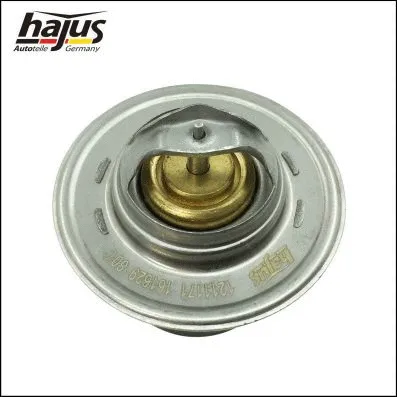 Thermostat, coolant (1211171)