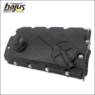 Cylinder Head Cover (1031040)