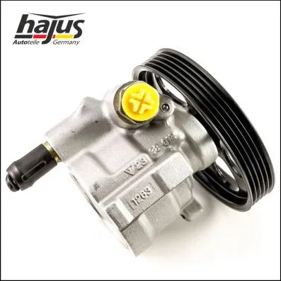 Hydraulic Pump, steering