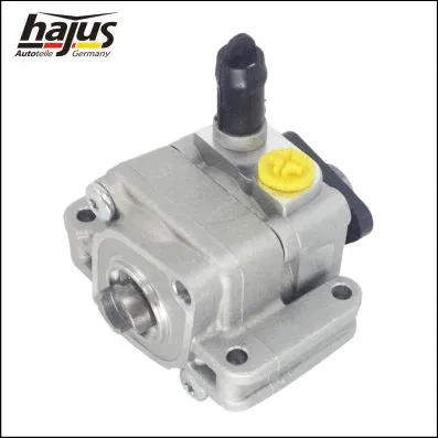 Hydraulic Pump, steering (4221042)