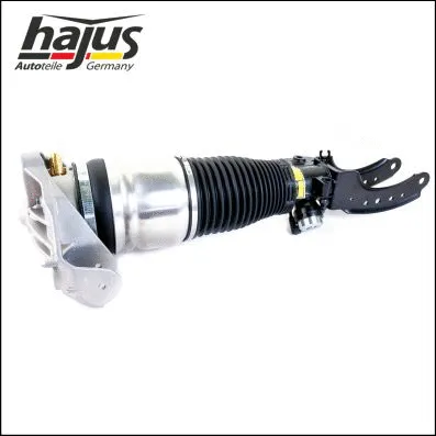 Air Suspension Strut (4121104)