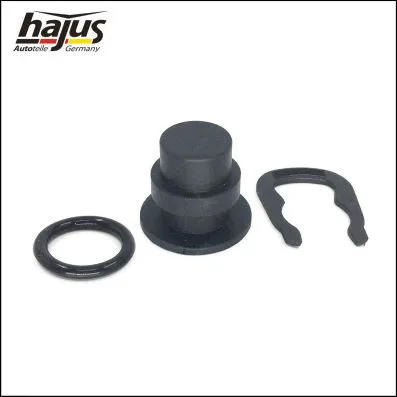 Sealing Plug, coolant flange (1211266)