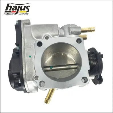 Throttle Body (1311014)