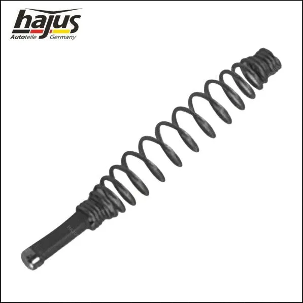 Plug, spark plug