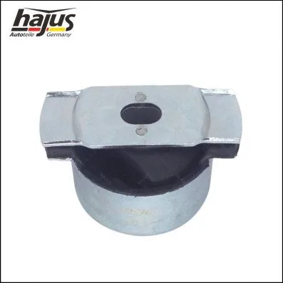 Bushing, axle beam (4071028)