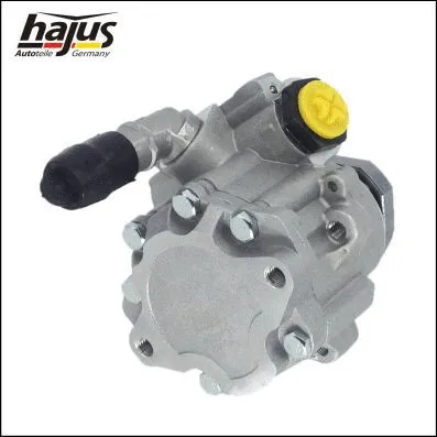 Hydraulic Pump, steering (4221011)