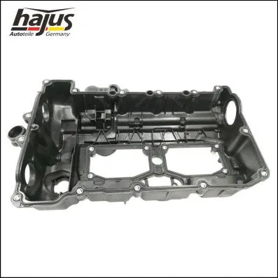Cylinder Head Cover (1031007)