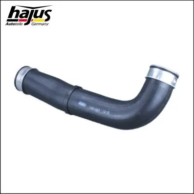 Charge Air Hose (1451083)