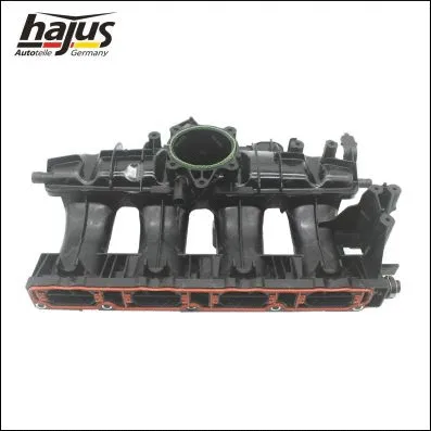 Intake Manifold Module (2511060)