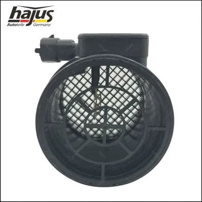 Mass Air Flow Sensor