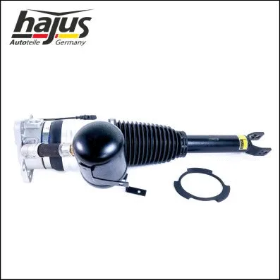 Air Suspension Strut (4121087)