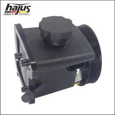 Hydraulic Pump, steering (4221034)