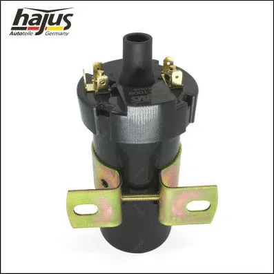 Ignition Coil (9411009)