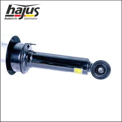 Air Suspension Strut