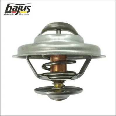 Thermostat, coolant (1211161)