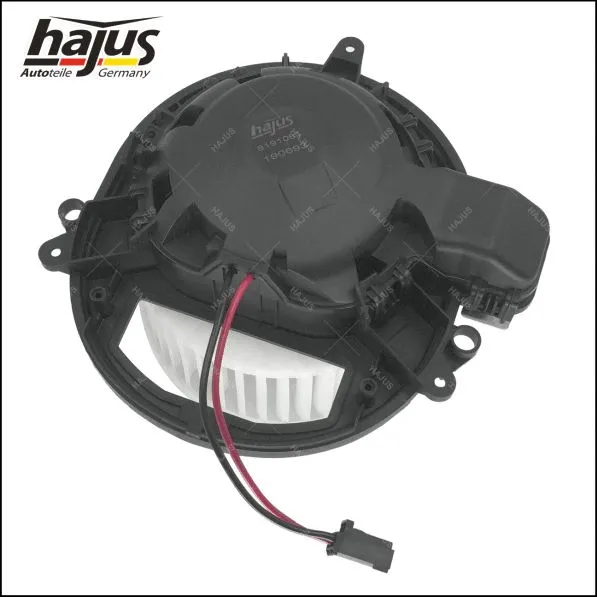 Interior Blower