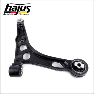 Control/Trailing Arm, wheel suspension (4071350)