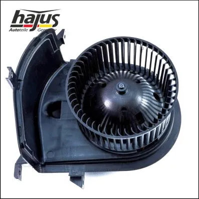 Interior Blower