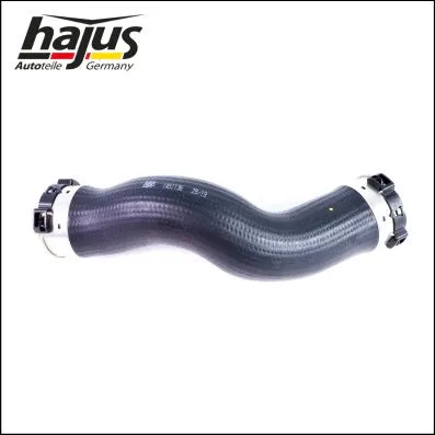 Charge Air Hose (1451132)