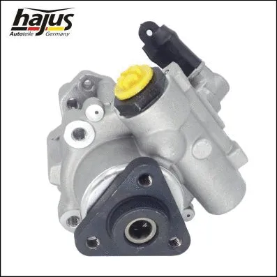 Hydraulic Pump, steering (4221012)