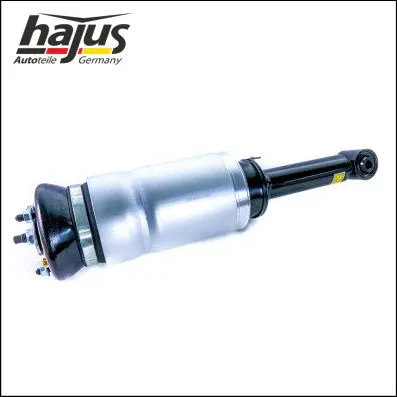 Air Suspension Strut (4121107)