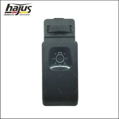 Switch, headlight (9191062)