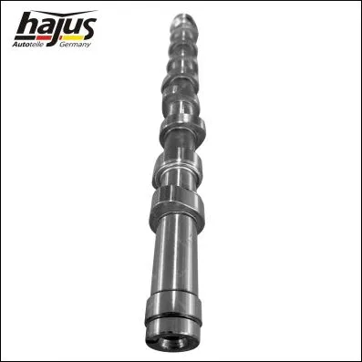 Camshaft (1091057)