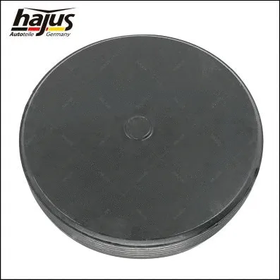 Plug, rocker arm shaft mounting bore