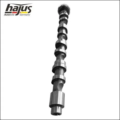 Camshaft (1091061)