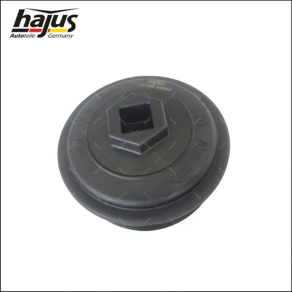 Cap, oil filter housing (1151586)