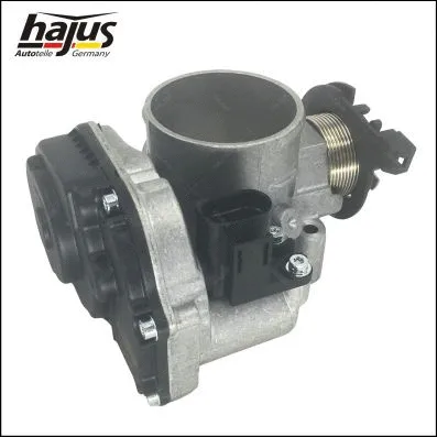 Throttle Body (1311067)