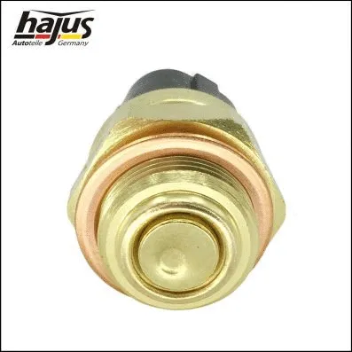 Temperature Switch, radiator fan