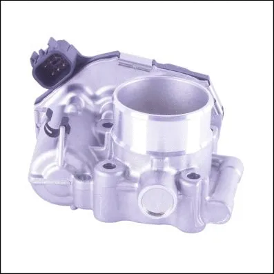 Throttle Body (OP980024)