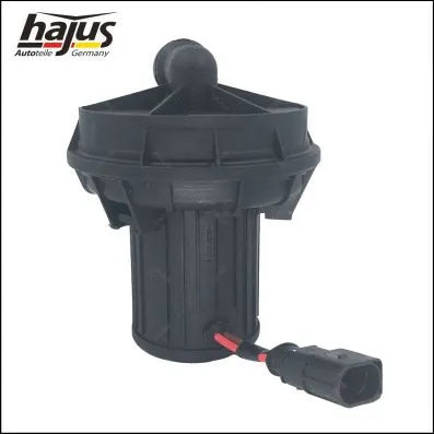 Secondary Air Pump
