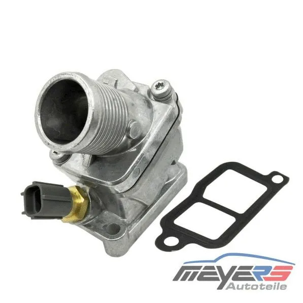 Thermostat, coolant